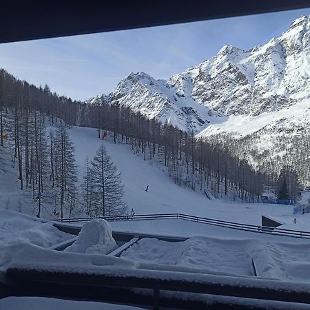 Orange Fox Cervinia Apartment Vda Vacanze In Vetta Cir 0185 Breuil-Cervinia Dış mekan fotoğraf